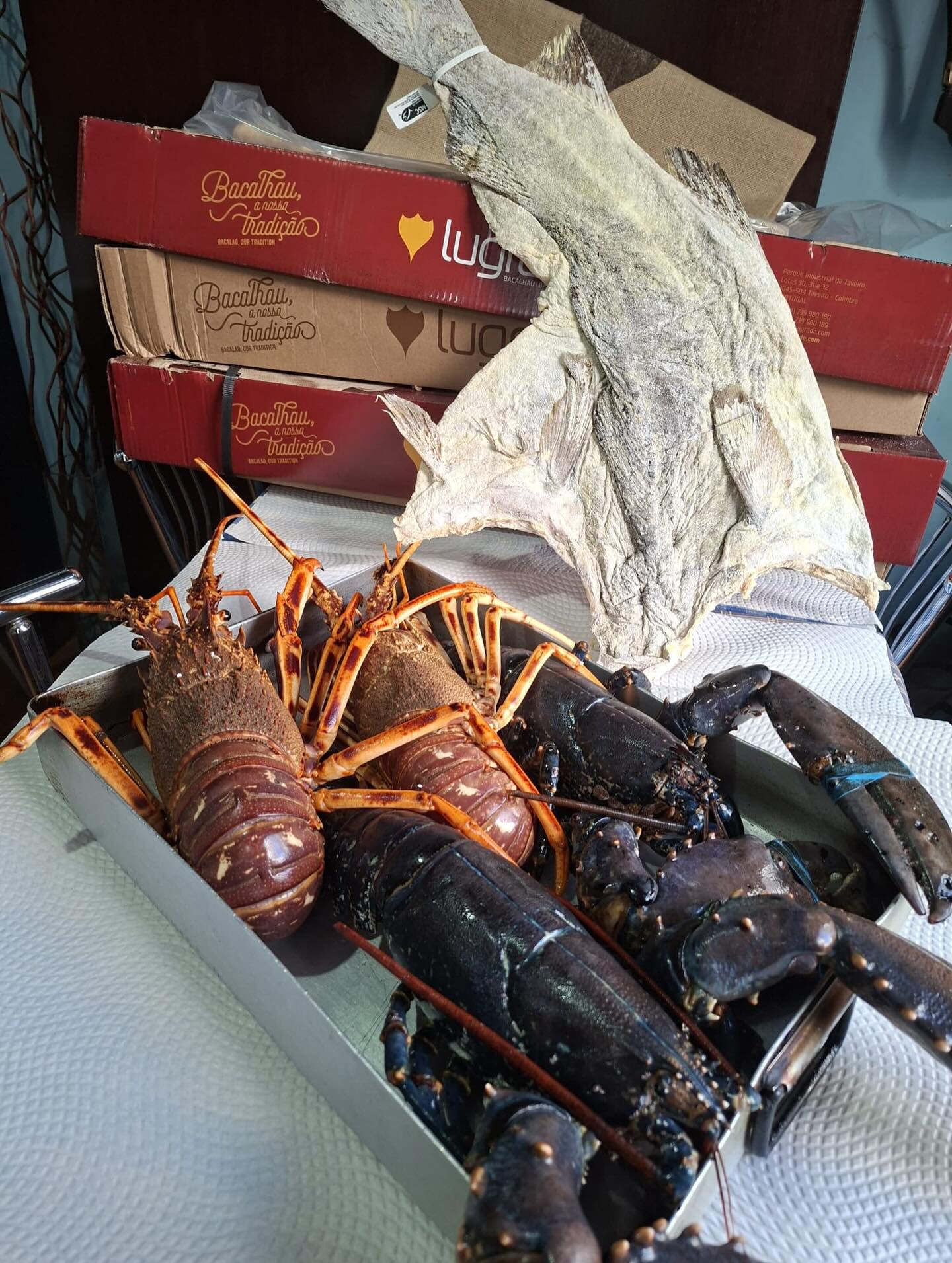 Lagostas e bacalhau expostos na cozinha